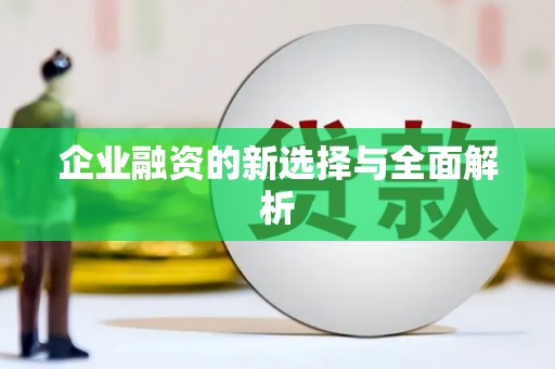 峨眉企业融资的新选择与全面解析