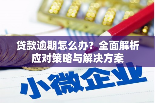 峨眉贷款逾期怎么办？全面解析应对策略与解决方案