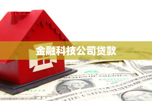 峨眉金融科技公司贷款