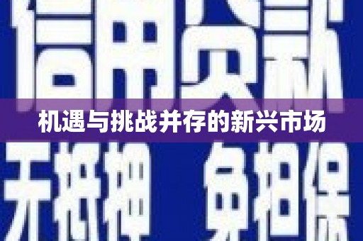 峨眉机遇与挑战并存的新兴市场