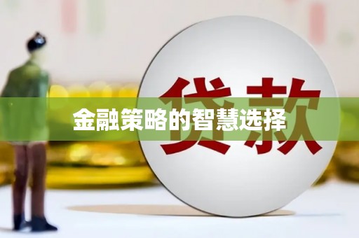 峨眉金融策略的智慧选择