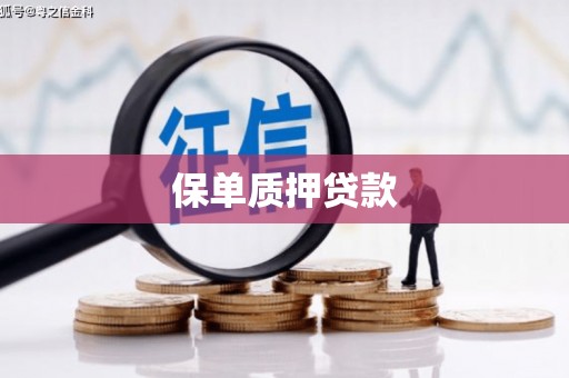 峨眉保单质押贷款