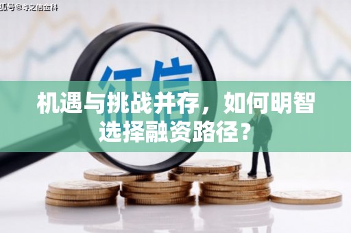 峨眉机遇与挑战并存，如何明智选择融资路径？