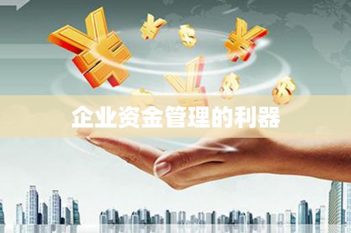 峨眉企业资金管理的利器