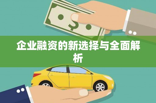 峨眉企业融资的新选择与全面解析