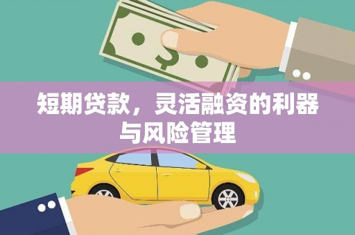 峨眉短期贷款，灵活融资的利器与风险管理