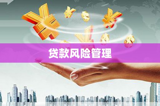 峨眉贷款风险管理