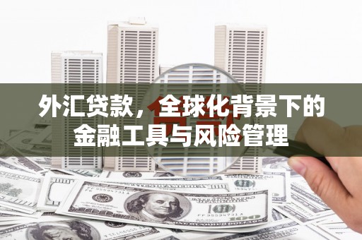 峨眉外汇贷款，全球化背景下的金融工具与风险管理
