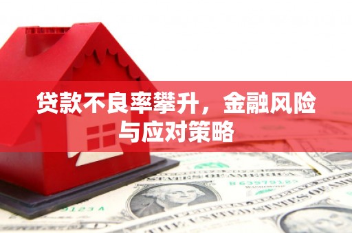 峨眉贷款不良率攀升，金融风险与应对策略