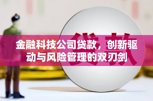 峨眉金融科技公司贷款，创新驱动与风险管理的双刃剑